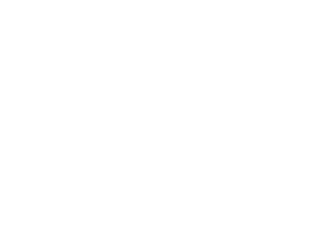 Logotipo Lateral sem fundo (1)